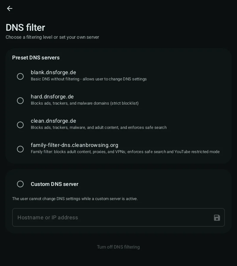 DNS filter