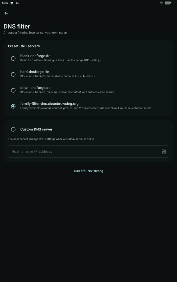 DNS filter settings