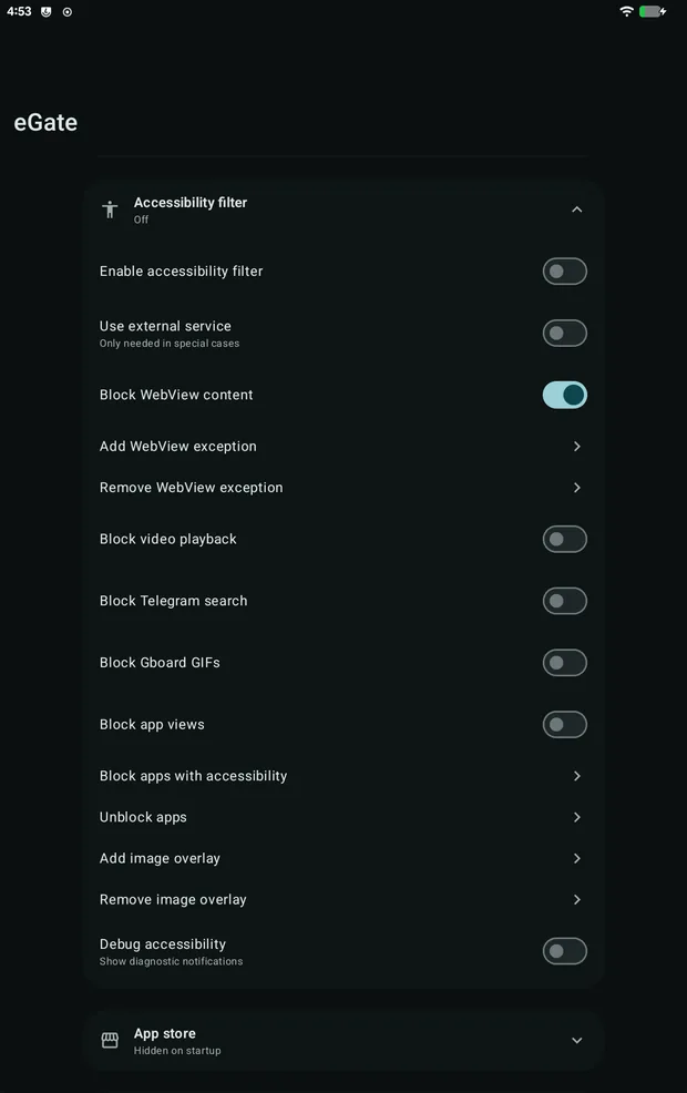 Accessibility filter settings